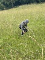 Person in Kapuzenjacke hockt in hohem Grasfeld